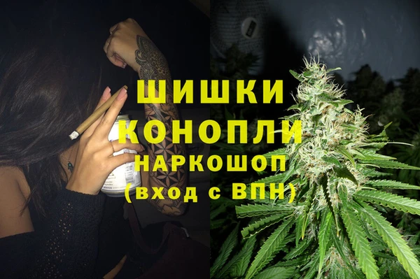ПСИЛОЦИБИНОВЫЕ ГРИБЫ Покровск