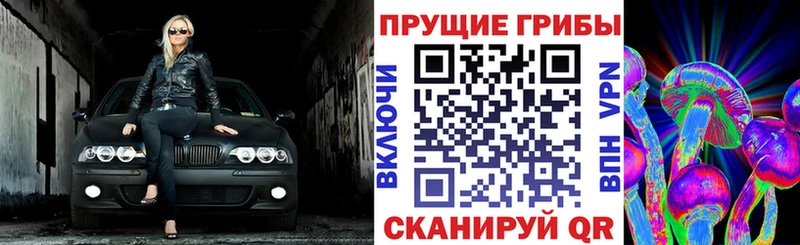 Псилоцибиновые грибы Magic Shrooms  Беслан 